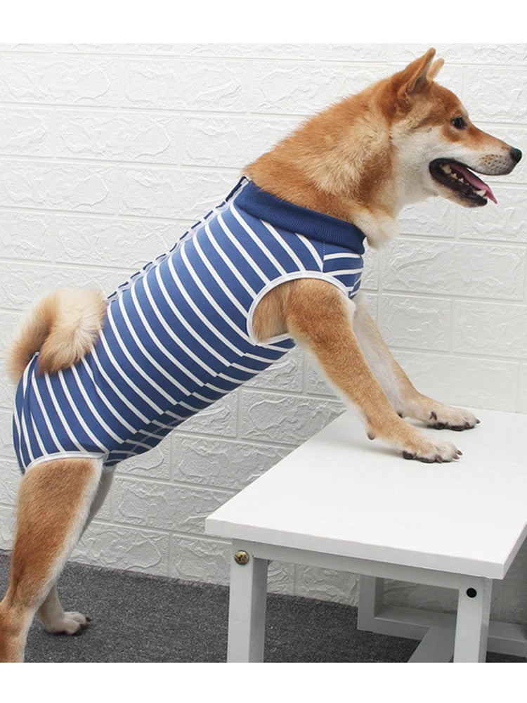 Body Post-Operative Recovery Suit for Dogs Pet Abdominal Wound After Surgery Wear Surgical Clothes for Small Medium Large Dogs