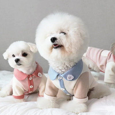 Fashion Thin Dog Hoodies Clothes for Dogs Solid Dog Coat Cotton Undershirts Kitten Puppy Sweatshirt Chihuahua Girls Dog Costume