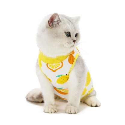 Cat Recovery Suit Kitten Suit E-Collar Alternative for Cats Puppies Small Dogs Abdominal Skin Anti Licking Pajamas Pet Clothing