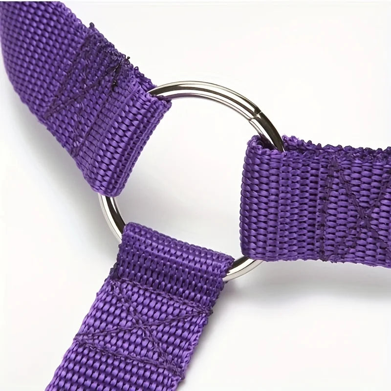 Ring Dog Car Seat Belt Durable Nylon Dog Seat Belt For Small Large Dogs Adjustable Lead Puppy Travel Car Safety Rope