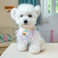 Designer Luxury Pet Dog Collar Lace Up Adjustable Birthday Party Gift Pet Items Cartoon Bear Unisex Neck Accessories for Cats