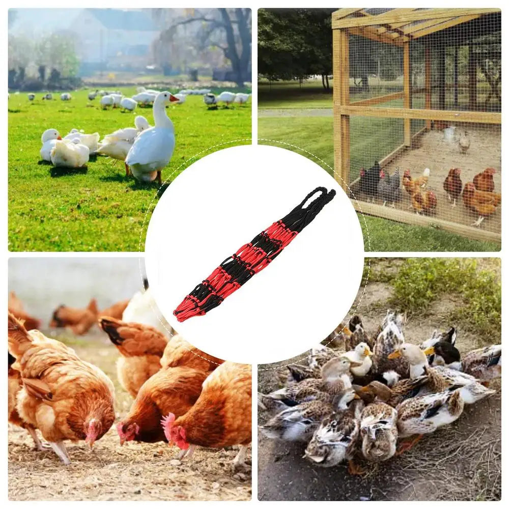Chicken Vegetable Feeder Poultry Vegetable Feeder Hang Holder Chicken Feeder To Hang Chicken Treat Feeding Tool With Hook