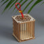 Bamboo Cage Exquisite Bamboo Live Insect Bamboo Woven Cage, Cricket, Cricket, Grasshopper, Cicada Box, Insect Feeding Box