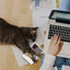 Mini Dollhouse Toy Cat Laptop Tiny Fake Computer Mirror for Cat (sliver) Interactive Cat Toy Creative Product For Kitten
