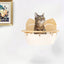 Cat Hammock Cat Shelves Tree Tower Ladder Wooden Furniture for Kitten Saving-space Cats Pet Products Cat Climbing Wall