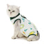 Cat Recovery Suit Kitten Suit E-Collar Alternative for Cats Puppies Small Dogs Abdominal Skin Anti Licking Pajamas Pet Clothing