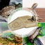 Turtle Docks For Basking Reptile Climbing Pier Detachable Tortoise Tank Dock Stable Turtle Basking Landscape With Feeding Area
