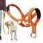 Mouth Leashes for Dogs Padded Adjustable Dog Head Harness Leader Leashes for Dog over Mouth Training Leashes Dog Head Collar