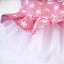 2023 Spring and summer pet skirt puppies small dogs Teddy Grid Pettiskirt Dress Pet Clothes Puppy Costume Spring Pet Clothing