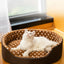 Cats Bed Dot Sponge Pad Dog Accessories Houses and Habitats Pet House Puppy Goods All Supplies Cushions Things Beds Basket Mat