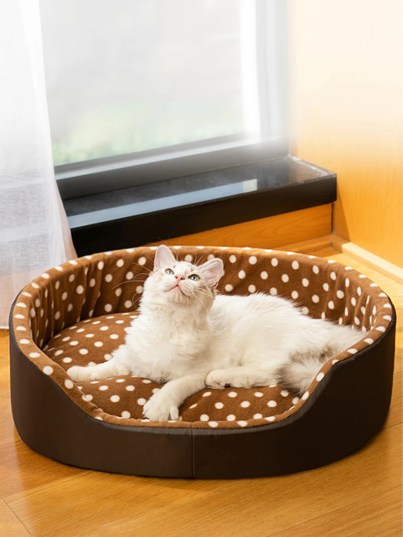 Cats Bed Dot Sponge Pad Dog Accessories Houses and Habitats Pet House Puppy Goods All Supplies Cushions Things Beds Basket Mat