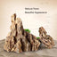 Natural Aquarium Decoration Stone Rockery Landscaping Fish Tank  Porous Pine Stone Beautiful Landscape Good for Plants Growth