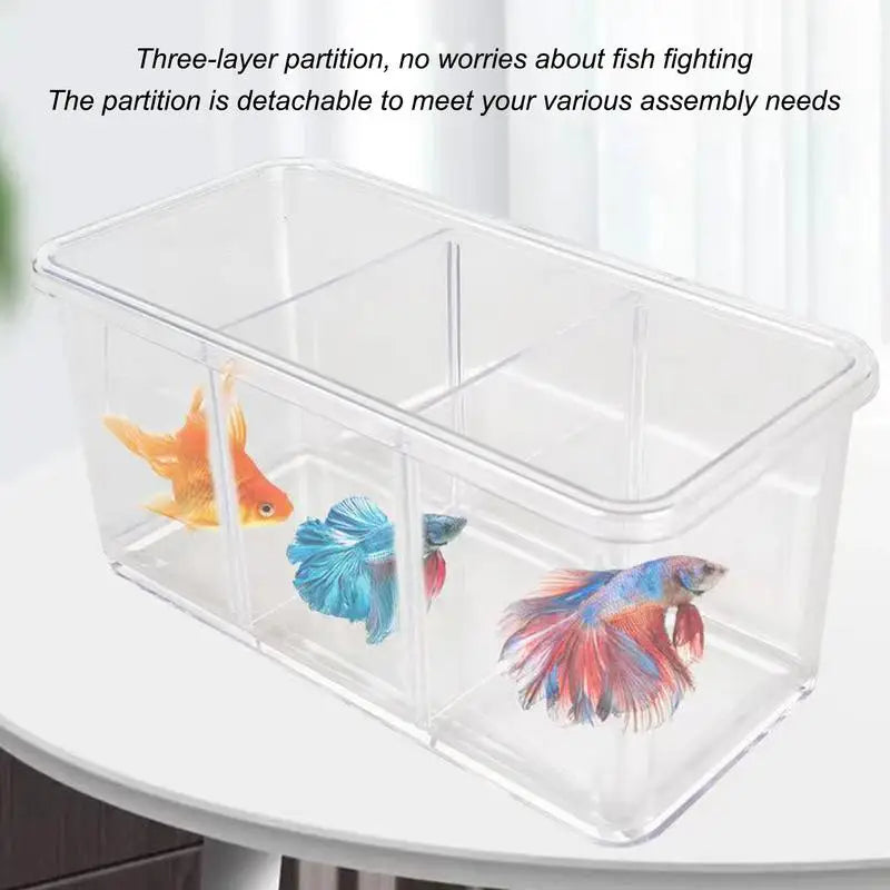 Betta Aquarium Transparent Fish tank with Removable Dividers Small Fish Bowl Multi Compartment Layout decorative Aquarium