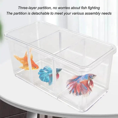 Betta Aquarium Transparent Fish tank with Removable Dividers Small Fish Bowl Multi Compartment Layout decorative Aquarium