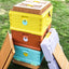 HDPE Langstroth 3 Layer 10 Frame Beehive Thermal Plastic Insulated Bee Hives
