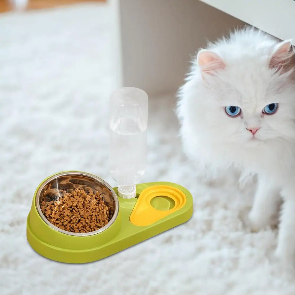 Elevated Cat Bowls Dog Feeder Cat Food Dishes Dog Food And Water Bowl Set Tilted Pet Food Bowls For Indoor Pet Cats Dogs Kittens