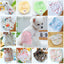Floral Pet Dog Physiological Pants Cute Plaid Dress Lace Female Teddy Yorkshire Cats Shorts Breathable Cotton Small Dog Clothes