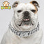 Silver Metal Dog Collar with Solid Buckle, Stainless Steel Pets Link Chain, Golden Necklace for Small Medium and Large Dogs Usag