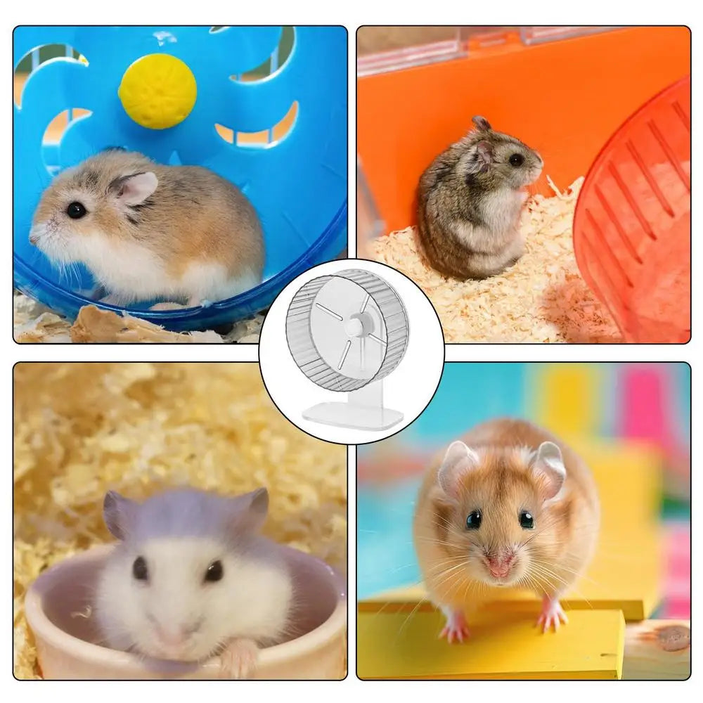 Silent Hamster Wheel Quiet Spinner Small Animals Exercise Wheels Super Quiet Hedgehog Acrylic Silent Spin With Height Adjustable