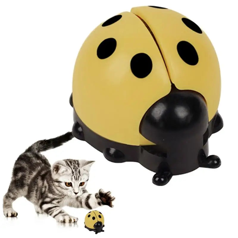 Cat Catnip Ball Toy Wall Mounted Ladybug Shape Kitten Chew Toy Edible Toy Ball With Catnip Cat Teething Toys For Indoor Outdoor