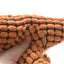 Pet Dog Squeaky Plush Dinosaur Toys Interactive Dog Chew Toys Plush Stuffing Pet Supplies Small Dog Chew Molar Toys