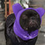 Dog Winter Hat Thickened Dog Hood Warm Hat Walking Outdoor Winter Pet Hat Dog Ears Cover Headwear Puppy Caps Puppy Headgear