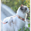 Cartoon Nylon Pet Dog Collar Accessories Anti Break Cat Small Puppy H-Shaped Harness Leash Set Travel Chihuahua Pet Accessories