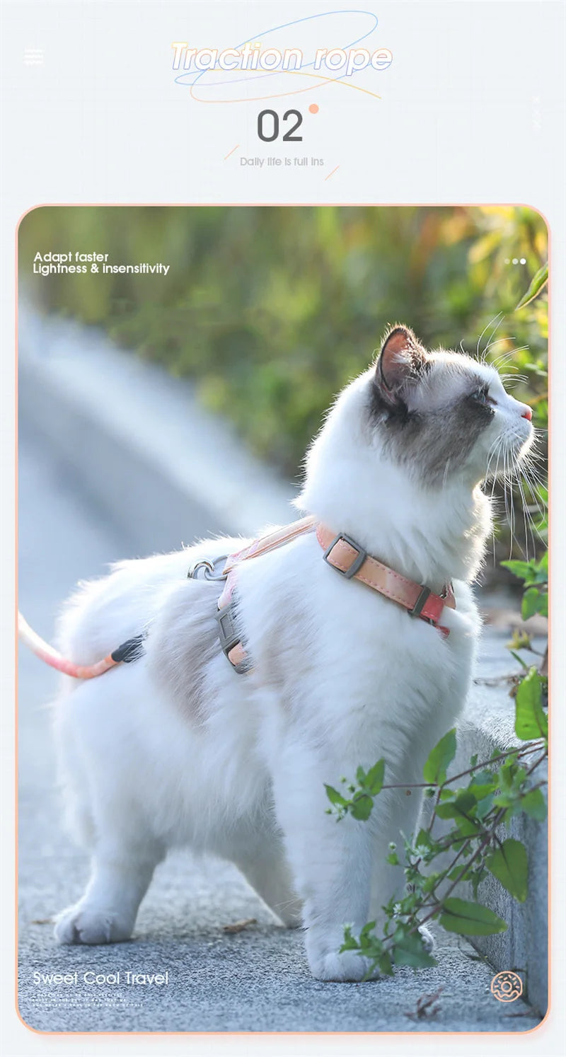Cartoon Nylon Pet Dog Collar Accessories Anti Break Cat Small Puppy H-Shaped Harness Leash Set Travel Chihuahua Pet Accessories