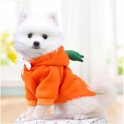 Cute Fruit Pet Costume Dog Clothes for Small Dogs Warm Fleece Doggy Hoodies Pet Dog Cat Clothing Puppy Sweater for Chihuahua Pug