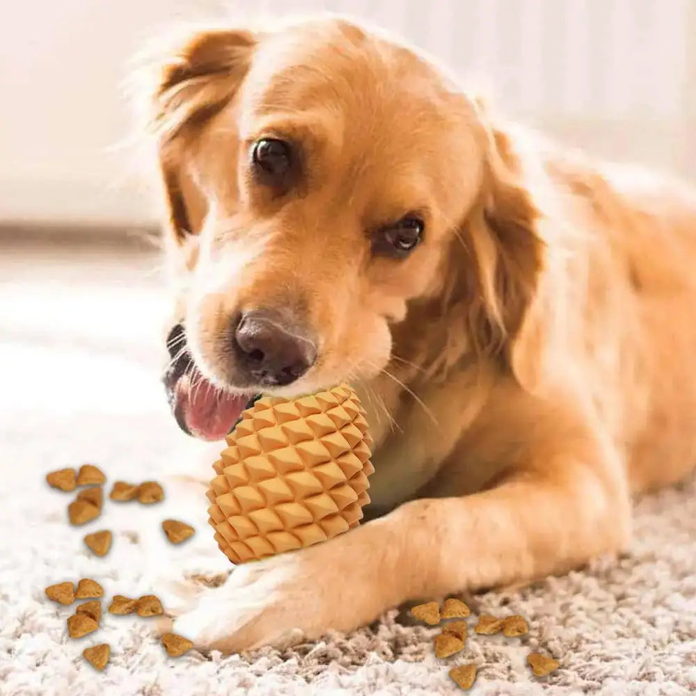 Dog Treat Dispensing Toy Pine Cone Dog Chew Toy Bite Resistant Pet Supplies For Dog Puppy For Treat Dispensing Teeth Cleaning