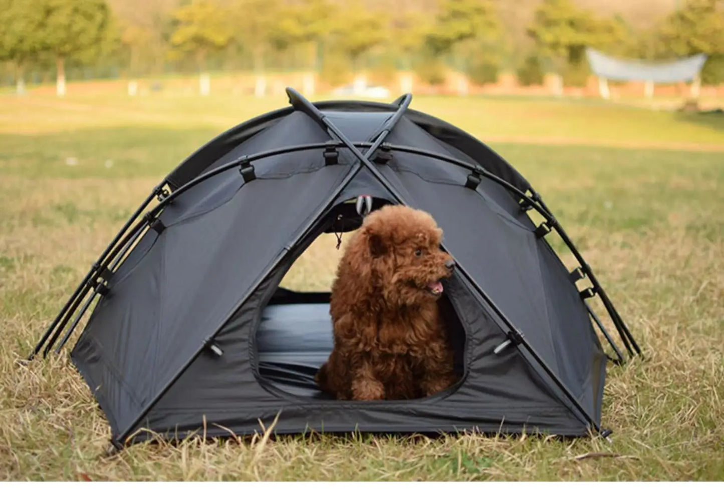 Foreign Trade Outdoor Camping Four Seasons Rainproof Outdoor Cat Nest Dog Nest Home Small and Medium Pet House Nest Ball Tent
