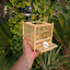 Grasshopper Cage, Bamboo Single Grid, Pure Handmade Bamboo Woven Cage, Classic Insect Crawling Tool with Drawer