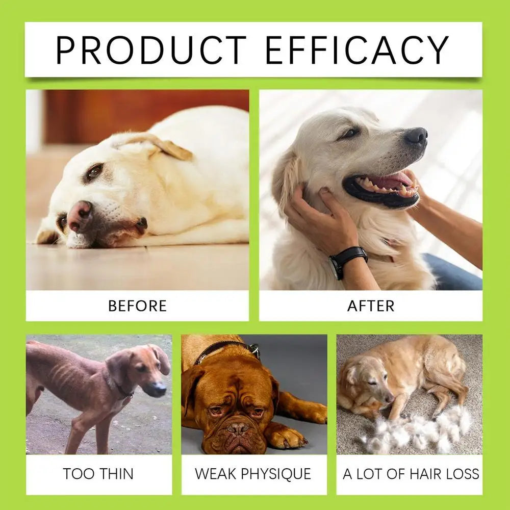 Dog Joint And Hip Supplement 60ml Liquid Dog Hip And Joint Supplement Puppy Multivitamin Dog Supplement Drops For Puppies Adult