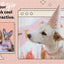 Dog Chain Collar Pink Diamond Cuban Link Necklace Metal Cat Chain Pet Crystal Collar Jewelry Accessories for  Dogs Cats