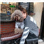 The New Pet Clothes  Cat Sweater  Dog Sweater Korean Version Spring and Autumn Parent-child Wear Six Sizes
