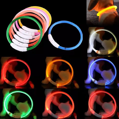 50cm LED Luminous Dog Collar Waterproof And Dustproof Visual Night Dog Walking To Prevent Lost Creative Color Dog Sub-sign Light