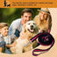 Dog Heavy Duty Durable Telescopic Nylon Dog Rope Comfortable Padded Handle Rope High-elastic Dog Safety Belt For Car