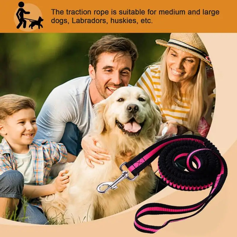 Dog Heavy Duty Durable Telescopic Nylon Dog Rope Comfortable Padded Handle Rope High-elastic Dog Safety Belt For Car