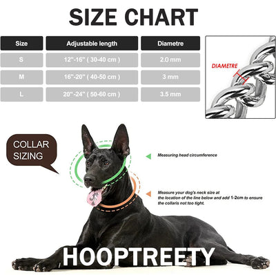 Dog Martingale Pinch Choke Collar, Adjustable 2 Row Chrome Heavy Duty Training Slip P Chain Dog Collar for Medium Large Dogs