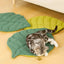 Kitten Bed Cats All Things Pet Accessory Houses House Products Beds Accessories Dog Mat Supplies Cushions Habitats Basket Puppy
