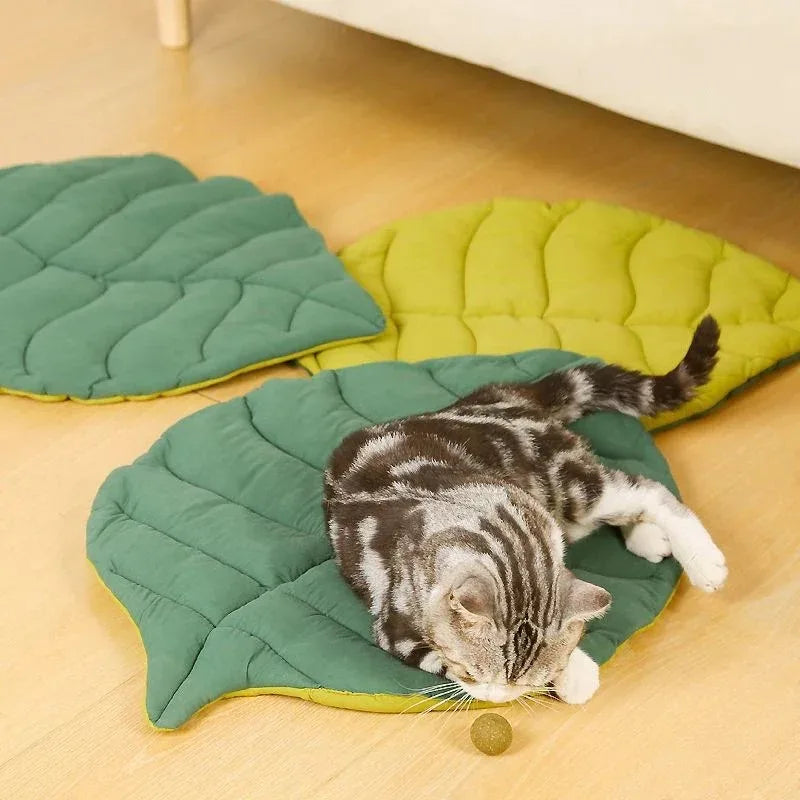 Kitten Bed Cats All Things Pet Accessory Houses House Products Beds Accessories Dog Mat Supplies Cushions Habitats Basket Puppy