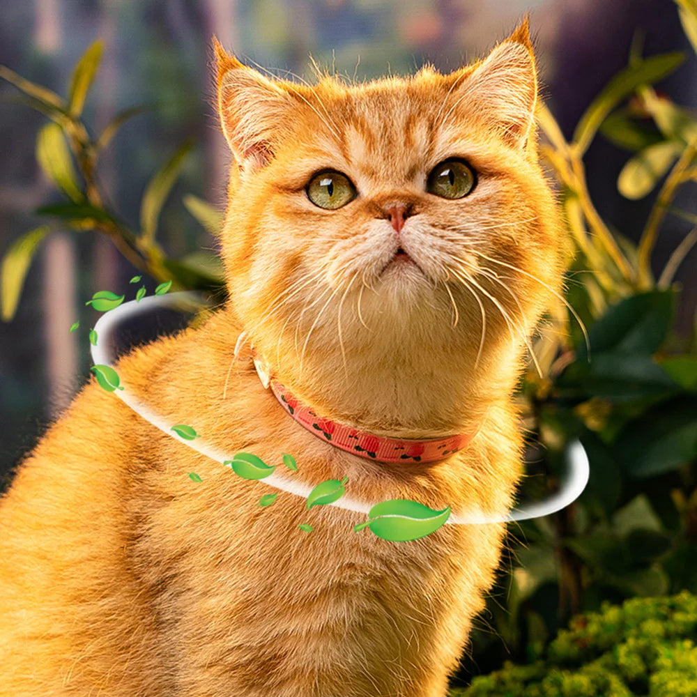 Dog Anti Flea and Tick Cat Collar 6 Months Protection Retractable Pet Control Collar for Puppy Cat Flea & Tick Prevention Collar