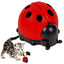 Cat Catnip Ball Toy Wall Mounted Ladybug Shape Kitten Chew Toy Edible Toy Ball With Catnip Cat Teething Toys For Indoor Outdoor