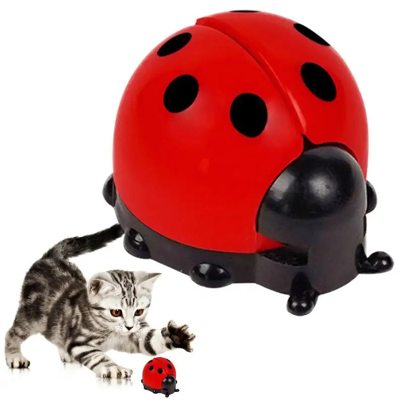Cat Catnip Ball Toy Wall Mounted Ladybug Shape Kitten Chew Toy Edible Toy Ball With Catnip Cat Teething Toys For Indoor Outdoor