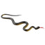 45cm Fake Realistic Rubber Toy Snake Simulation Anaconda Scary Halloween To Scare Birds Props Prank Trick Toy Accessories