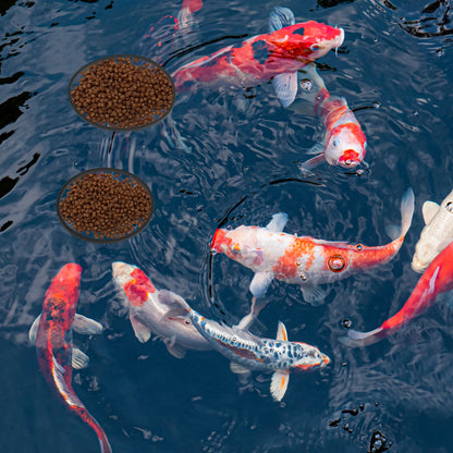 UXCELL Fish Feeding Ring Fish Feeders Floating Plant Corral Aquarium Fish Tank Plant Corral Fish Food Feeding Assistant 5pcs
