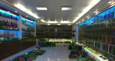 Small and medium-sized ultra-white glass hot bending tank bullet large screen ecological goldfish tank aquarium
