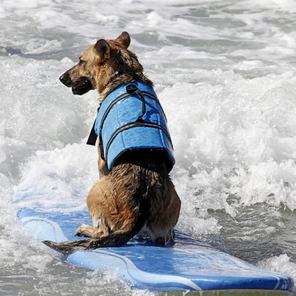 Large Medium Pet Dog Life Jacket Oxford Floating Husky Summer Pet Supplies Quick Drying Seaside Safety Exercise Dog Swimsuits