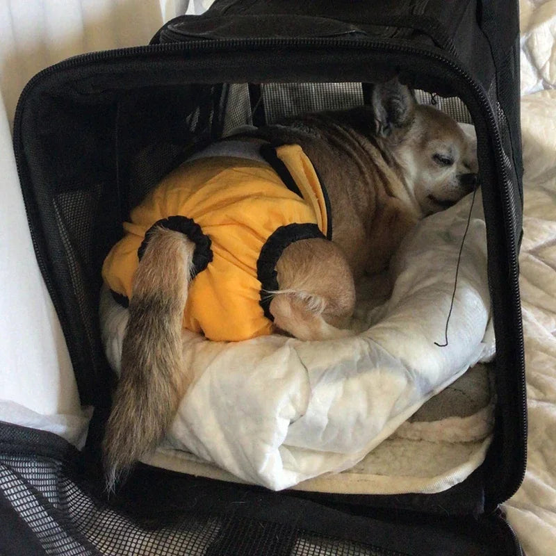 Reusable Sanitary Panties Washable Small Dog Pet Diapers Female Dogs Large Physiological Shorts Male Cats Pet Menstruation Pants