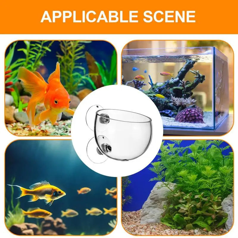 Aquarium Plant Holder Clear Aquarium Tank Live Plant Pot Aquatic Planter With Suction Cups Red Shrimp Live Plants Fish Tank